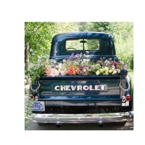 Meet your Posher,Belkis - Picture 4 of 8